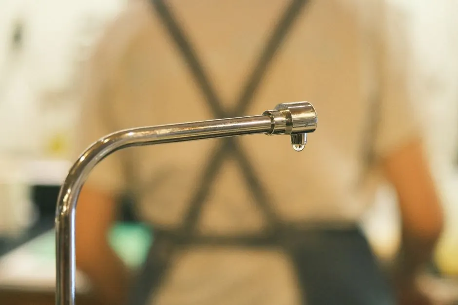 Advantages of Professional Leak Detection